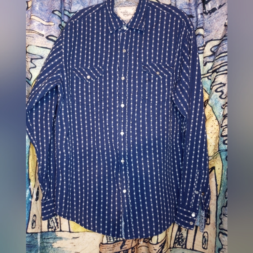 Age Of Wisdom Western Blue Daisy Flower Stripe Pearl Snap Shirt Country Cowboy - Picture 1 of 8
